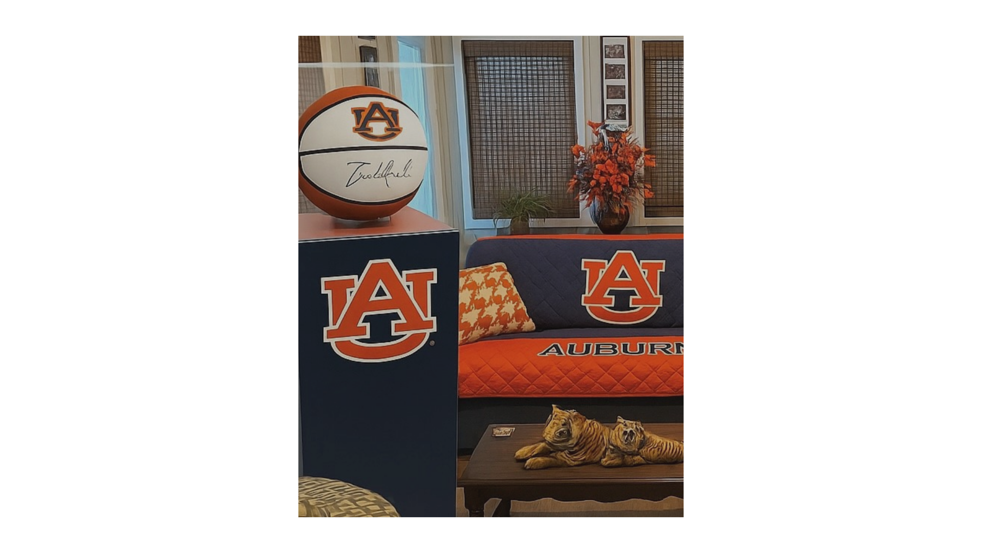 Read more about the article Types of Tiger Memorabilia to Display